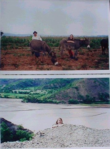 Photograph